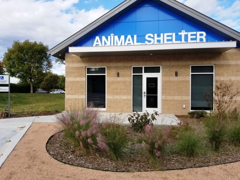 animal shelter front animal shelter front