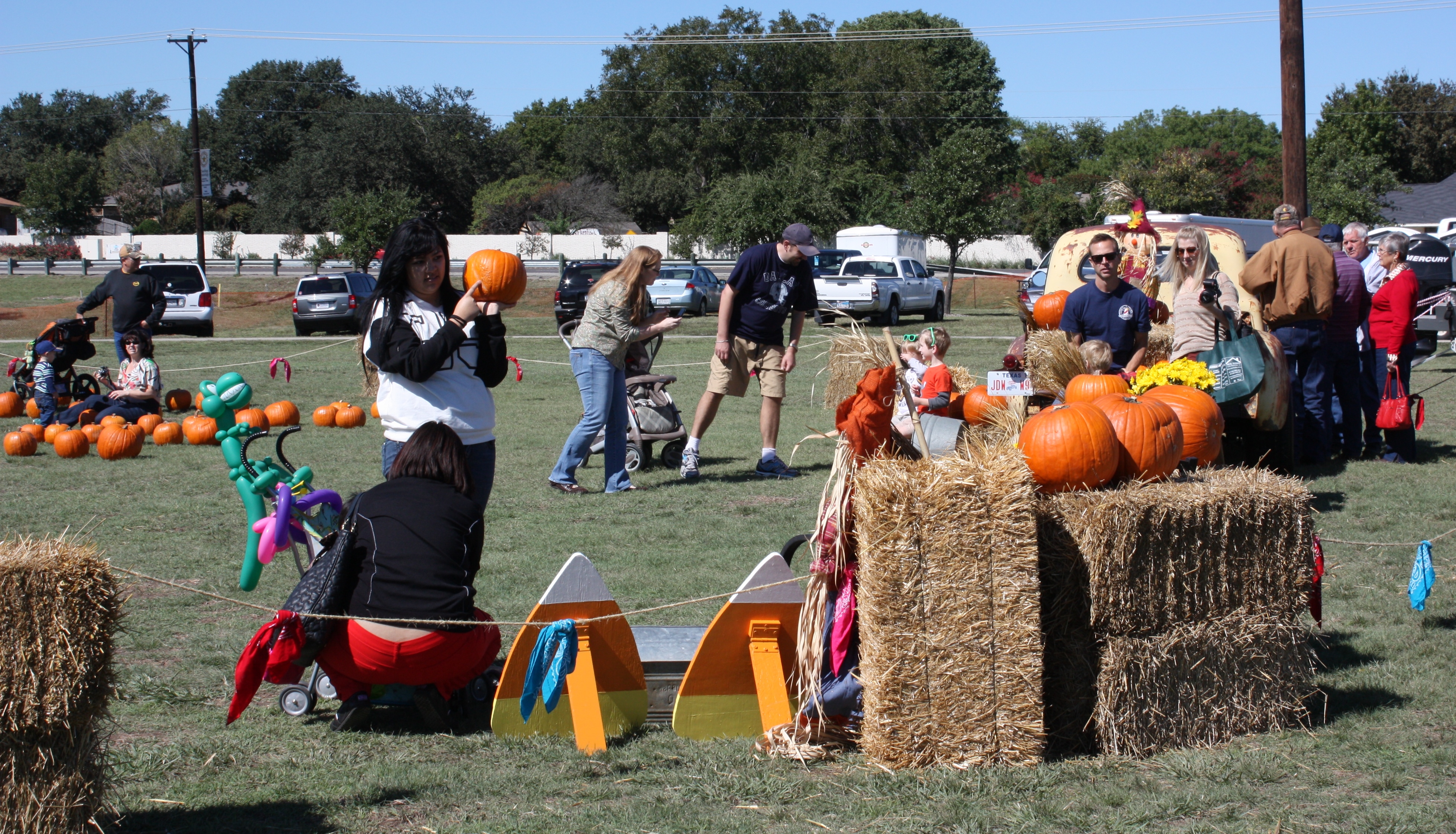 Pumpkin Patch