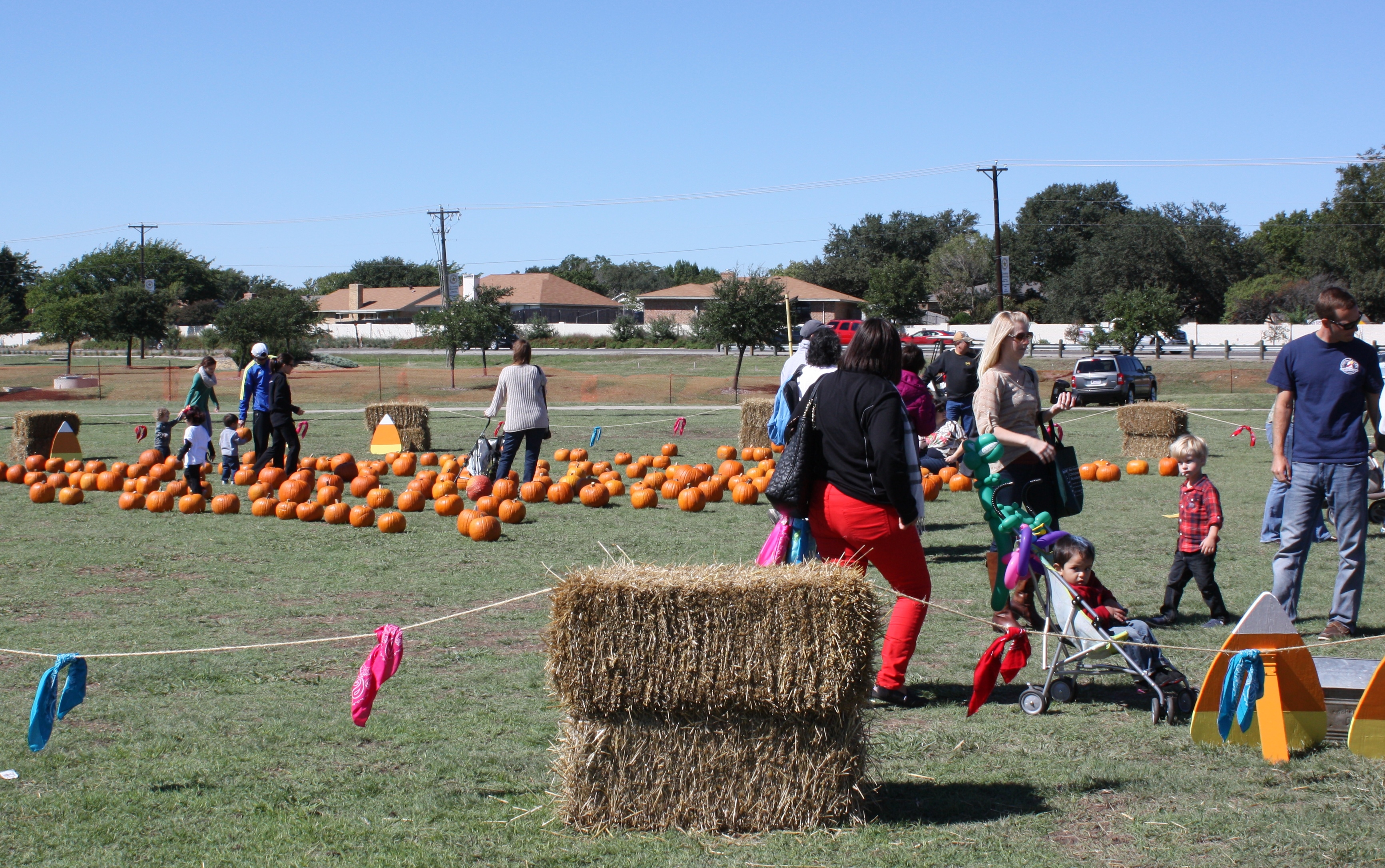Pumpkin Patch