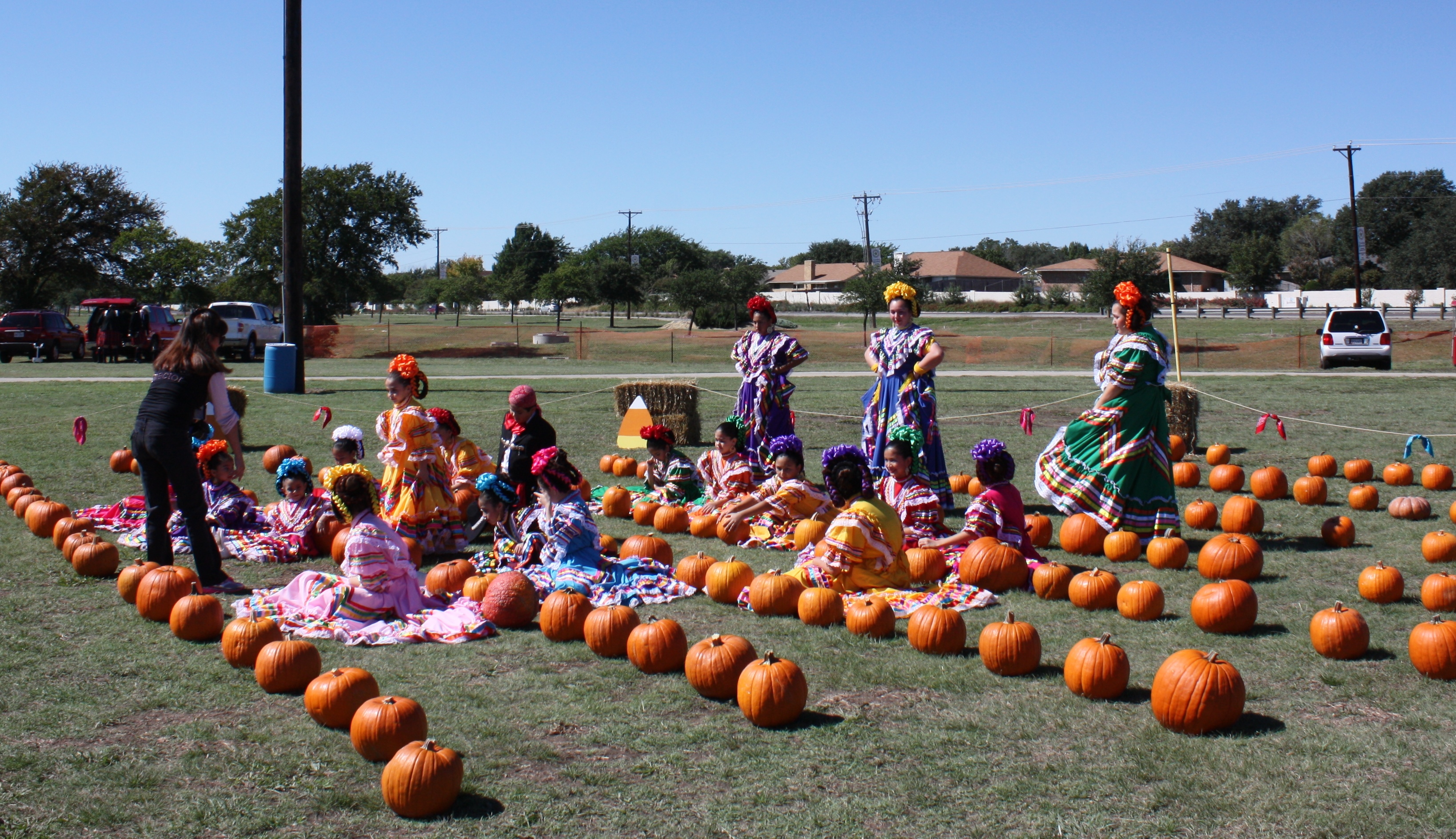 Pumpkin Patch