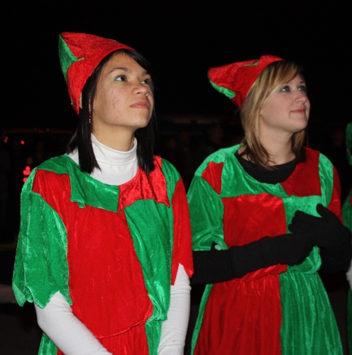 Winter Wonderland & Lighting of the Christmas Tree