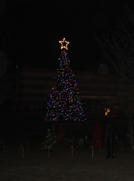 Winter Wonderland & Lighting of the Christmas Tree