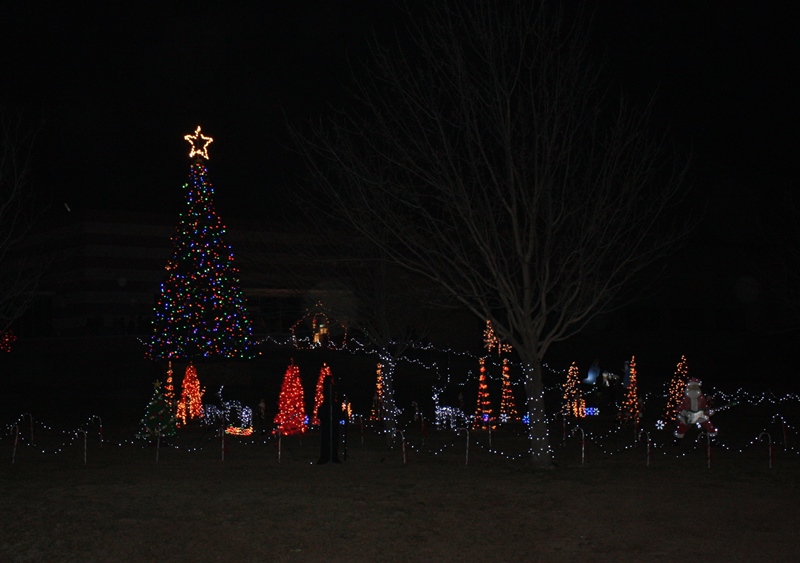 Winter Wonderland & Lighting of the Christmas Tree