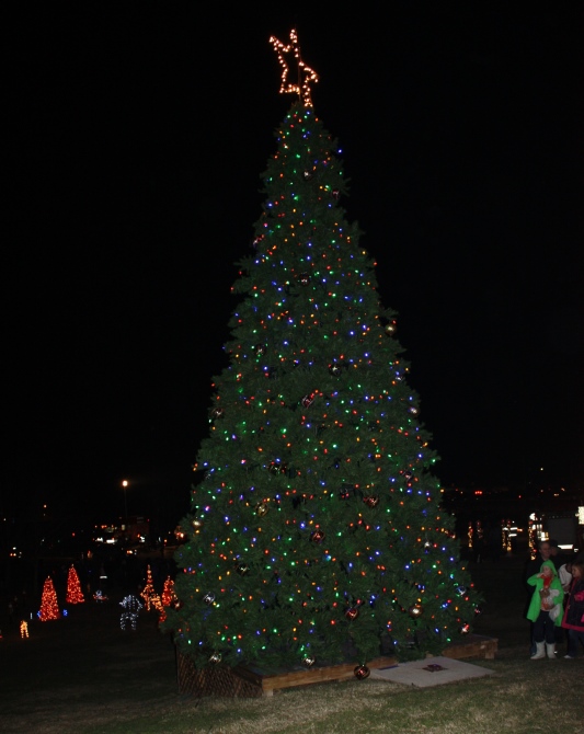 Winter Wonderland & Lighting of the Christmas Tree