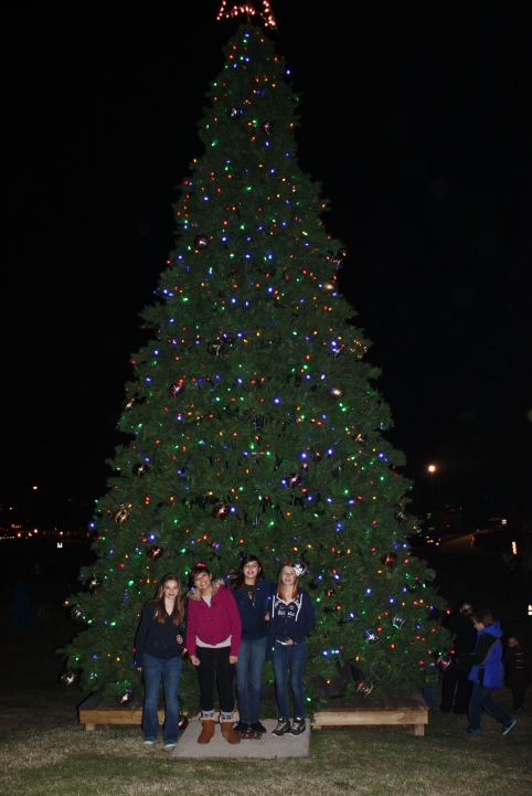 Winter Wonderland & Lighting of the Christmas Tree