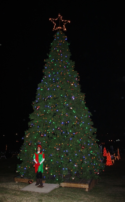 Winter Wonderland & Lighting of the Christmas Tree